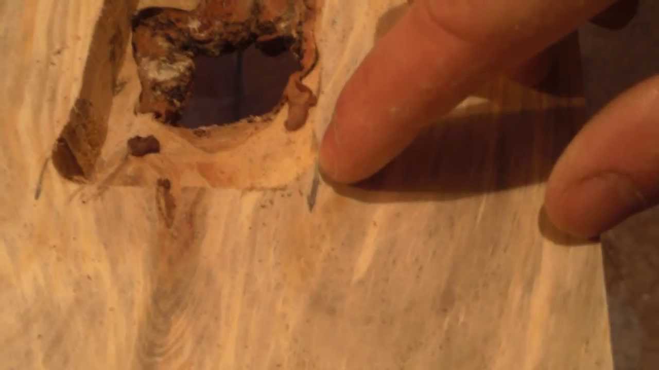 дырка в межкомнатной двери. дыра в деревянной двери. сколы на мдф дверные. отверстие в двери. дыра в деревянной двери.