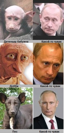 И еще пару похожих знаменитостей.