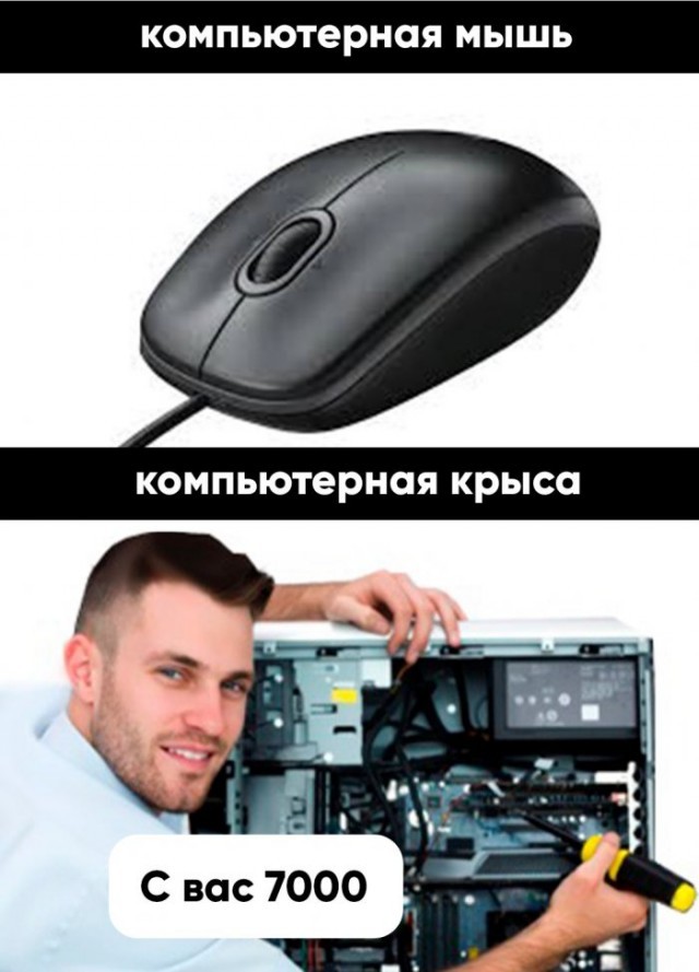 Немного картинок в этот четверг