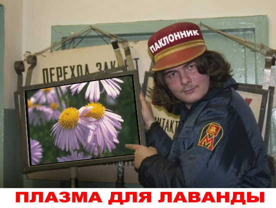Отжабьте меня пожалуйста