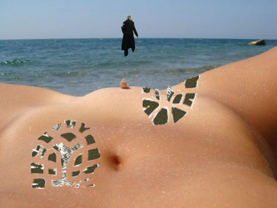 Ракушка и море