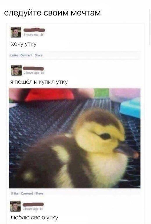 Уточка