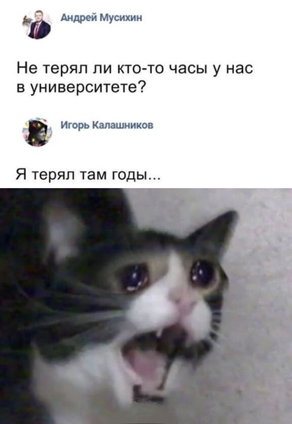 Немного картинок для настроения 04.09.20