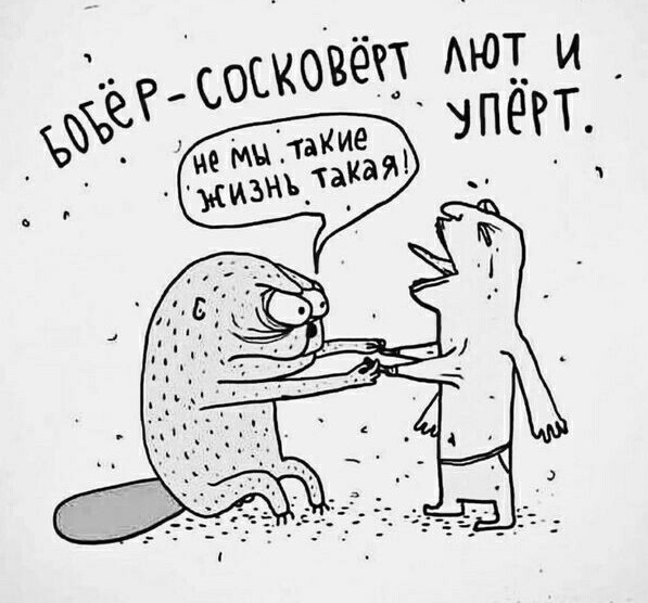 Осиротевший бобер строит "плотины" в доме своих спасителей