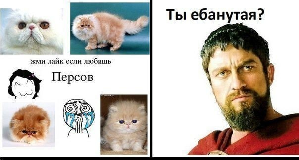 Чепуха на четверг.11-12
