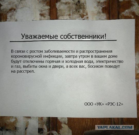 Как прикажете понимать?