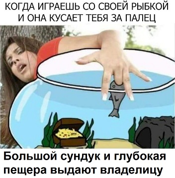 Юмор в картинках 11.12.20