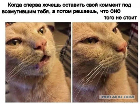 Картинки с надписями и всякие жизненные фразы 2.01.2021