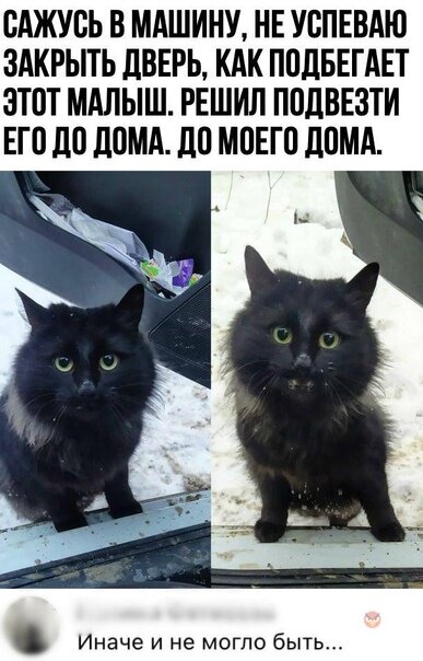 Юмор в картинках 5.01.21
