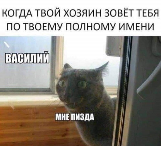 Картинки с надписями и всякие жизненные фразы 9.01.21