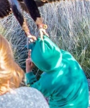 Удачный кадр. Фотопост