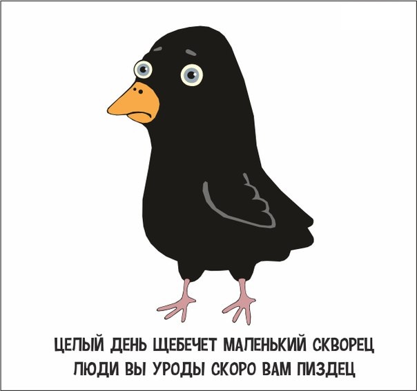 Бредзона 20.01.2021