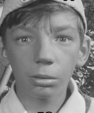Чем занимаются актеры фильма «Трудный ребенок» 30 лет спустя
