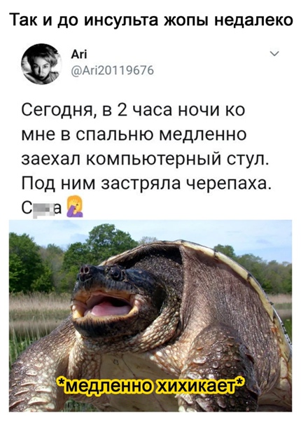 Баянисто-небаянистый юмор 23.03.21