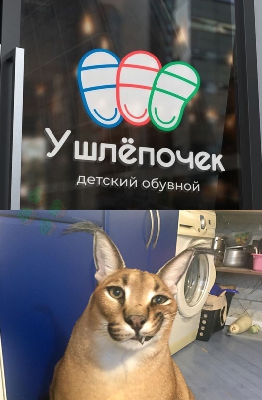 Картинки и мемы для настроения 11.08.2021