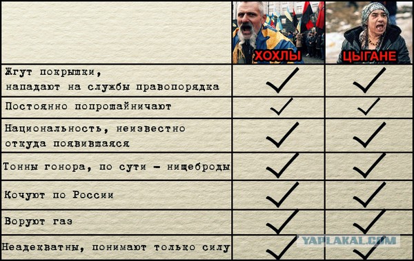 В Полтаве очевидцы заметили женщину, которая поедала голубя