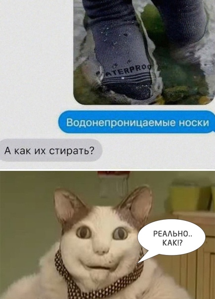 Весёлый полтишок 31.12