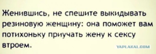 Забавные и веселые картинки