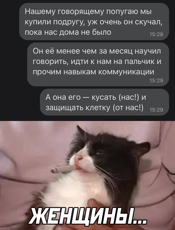 Картинки и мемы для настроения - 27