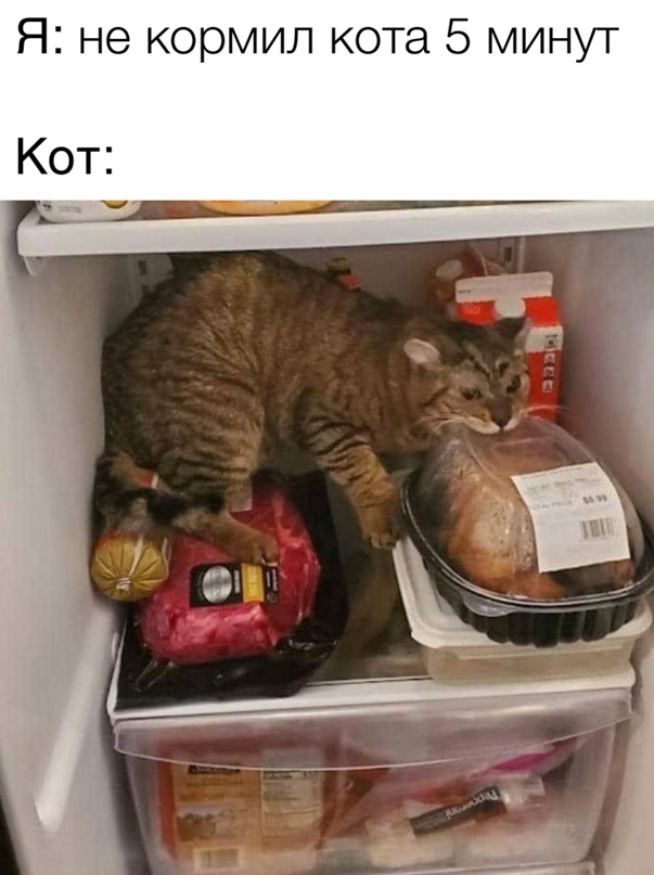 Картинки и мемы, всем хороших выходных