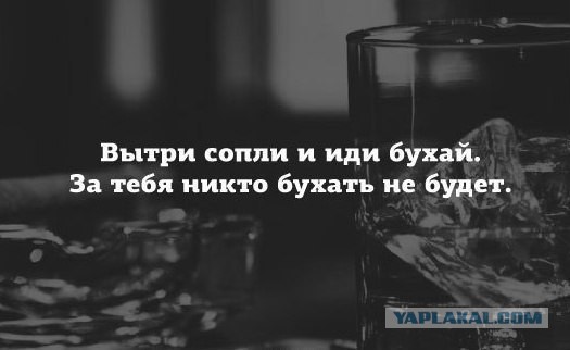 Пятничный алкогольный юмор 24.06.22