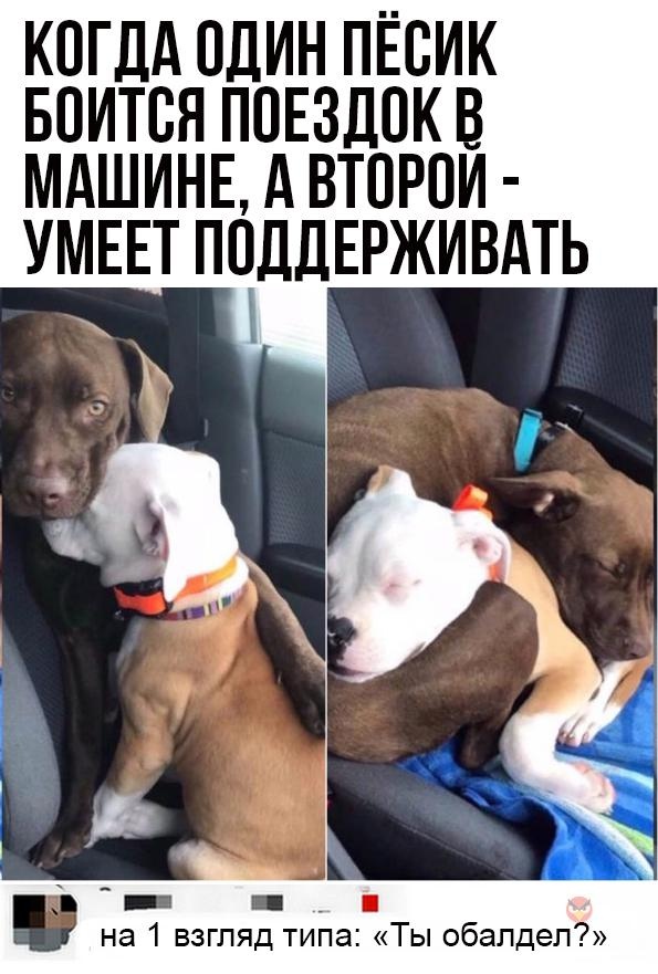 Так себе картинки 06.07.22