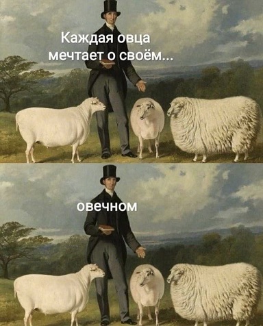 Ну, с богом!