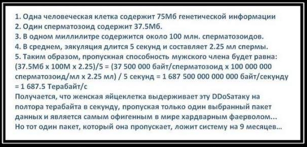 Забавные комментарии из социальных сетей (25.10.22)