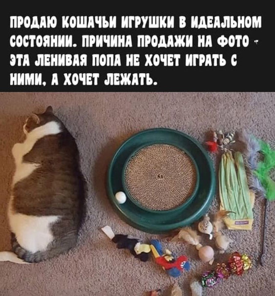 Так себе картинки 15.02.23