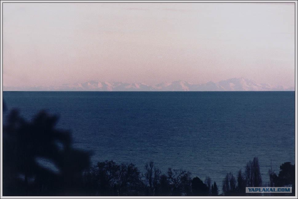 видели горы видели море видели белые