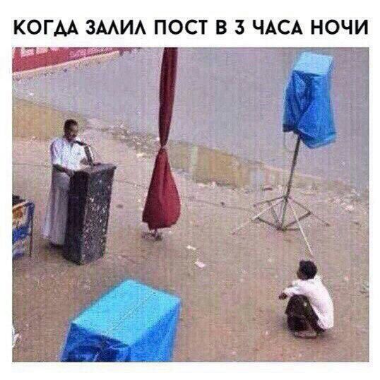 Подборка картинок