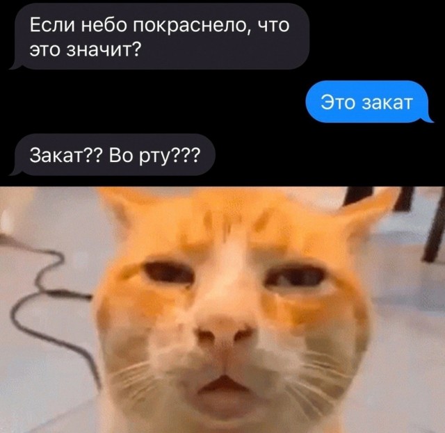 Пятая подборка самых баянистых баянов! Ностальгируем...