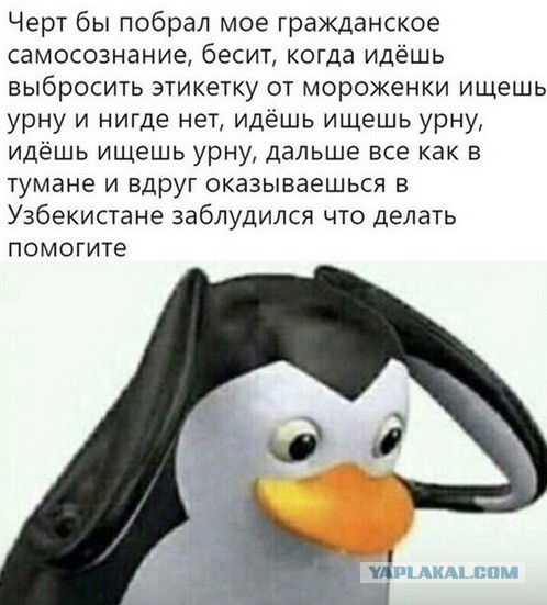 Улыбательные картинки...