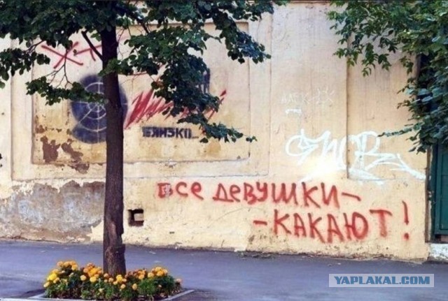 Всего понемногу.