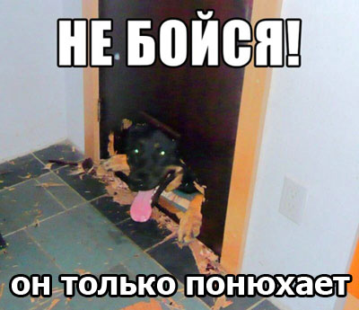 Всего понемногу. От 21.01.24