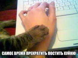 Штат Нью–Джерси. Обстановка на выходных на одной из заправок с мини–маркетом Wawa*