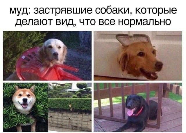 Тупые старые картинки