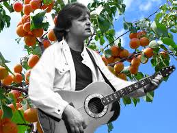 В самом начале Вишнёвой улицы есть маленькое кафе, где подают лучший горячий шоколад во всей Англии