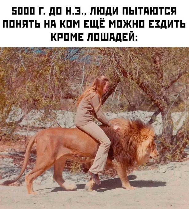 20 забавных  картинок