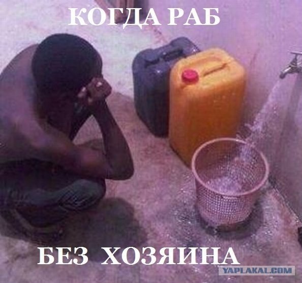 В Нью-Йорке пешеходам разрешили переходить дорогу вне переходов и светофоров для борьбы с расовым неравенством