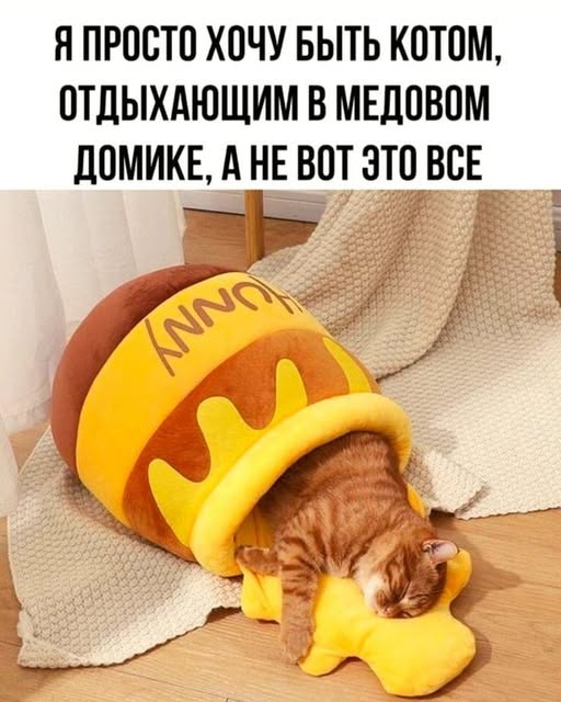Так себе картинки 04.03.25