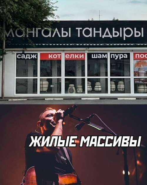 Весёлый полтишок 24.04.25