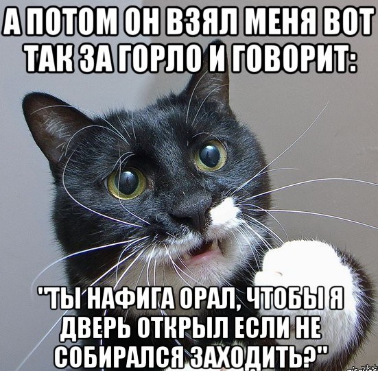 Большая подборка баянов разной степени свежести