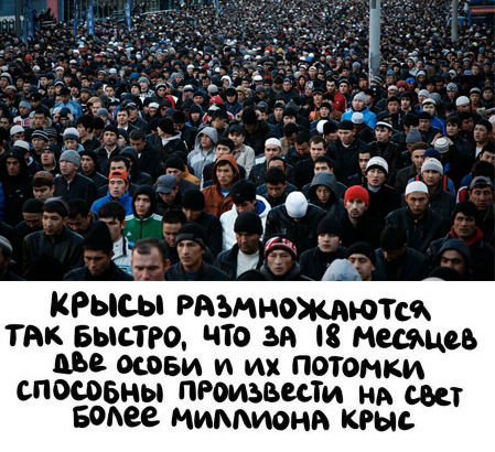 В Саратове задержали подростковую группировку, терроризировавшую прохожих — СК начал проверку