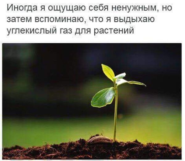 Пятничные 100м2 дичи
