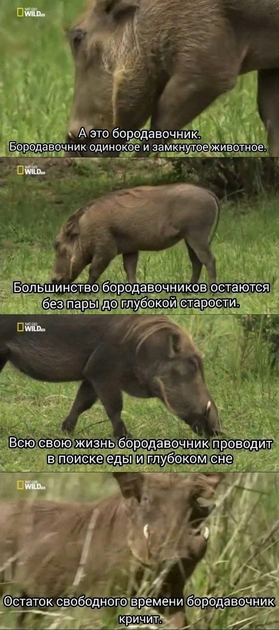 Отсутствие морально этических норм Vol.43