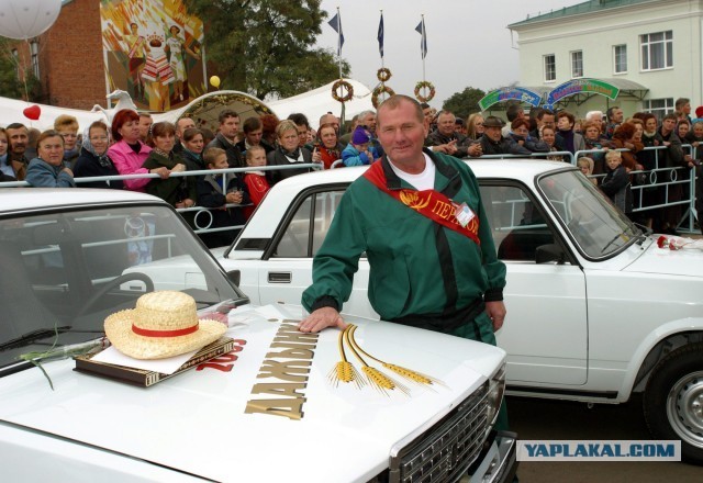 Бацька шерстит