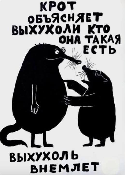Картинки для деградации 39 (разной степени свежести)