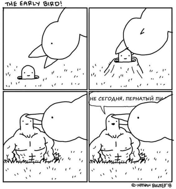 Среда обитания 0.1