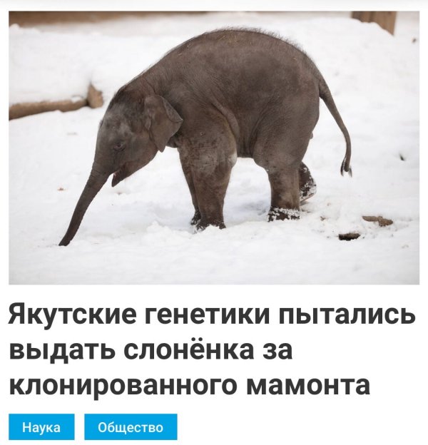 Когда ничего нельзя...